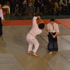 Fête des arts martiaux du 20e arrondissement Fête des arts martiaux du 20e arrondissement