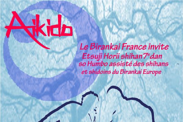 Stage aikido birankai 2016